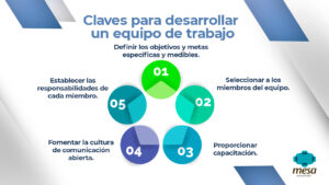 desarrollo de un equipo de trabajo